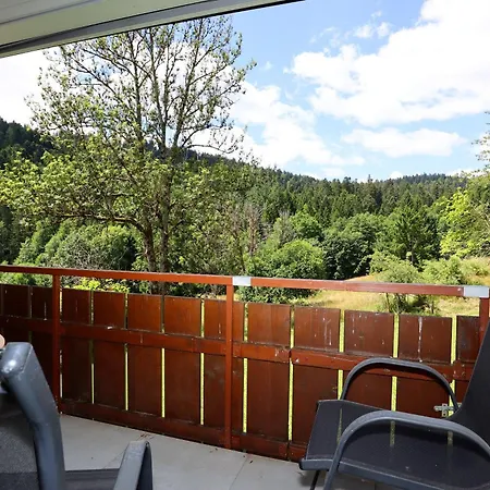 Milan Mit Schoenem Blick Ins Gruene - Mein Swh Apartmán Todtmoos